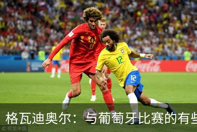 格瓦迪奥尔：与葡萄牙比赛的有些画面转播没有呈现，只能接受现实