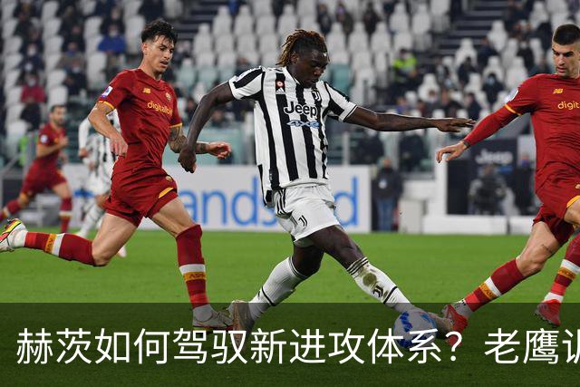 赫茨如何驾驭新进攻体系？老鹰训练营最大疑问浮现